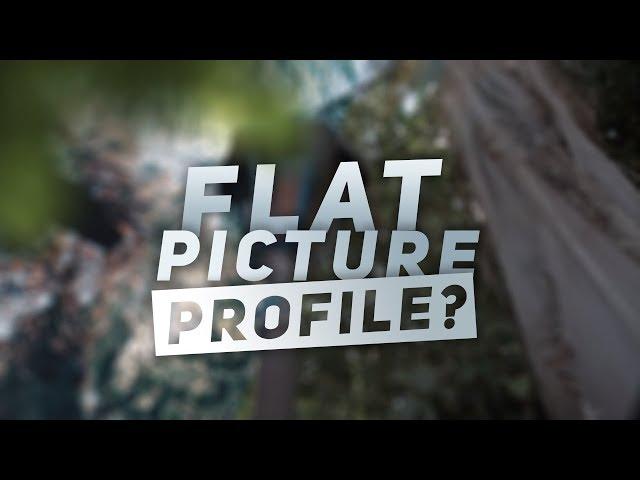 Do you NEED to be shooting in a FLAT PICTURE PROFILE?