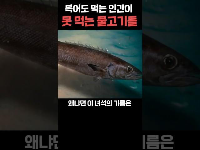 인간이 못 먹는 음식