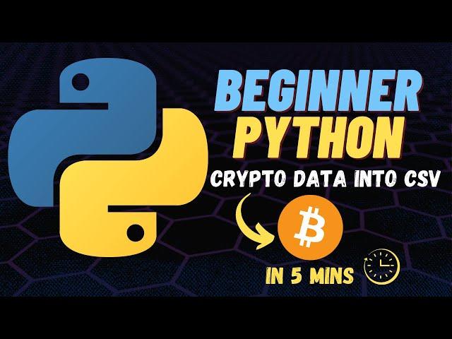 Using Python to Fetch API Data into CSV