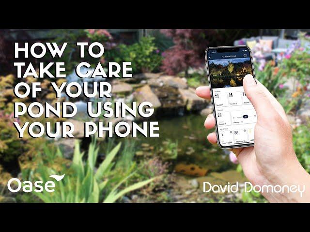 How to take care of your pond using your mobile phone