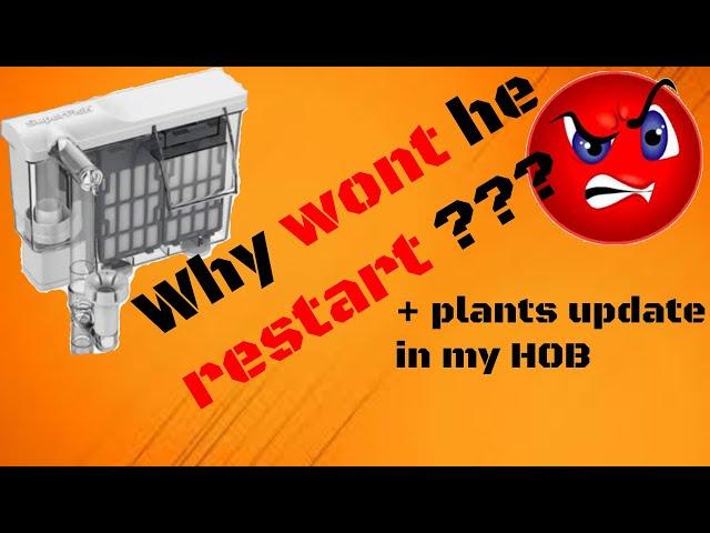 Why a HOB filter won't restart after a power outage