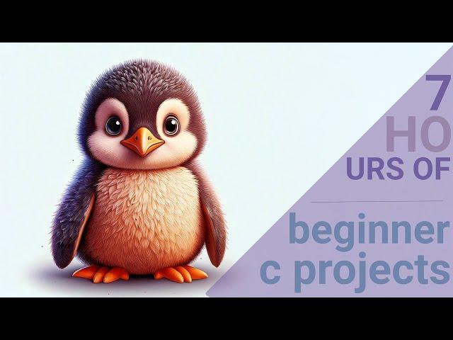 7 hours of Beginner C Projects