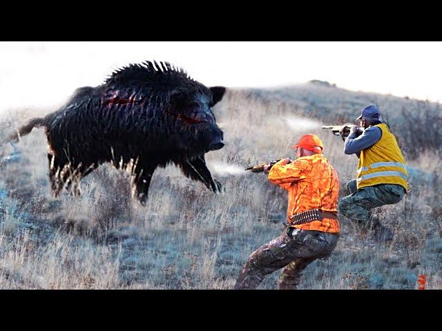 Top 50 Amazing Wild Boar Shots, wild boar hunting 2024