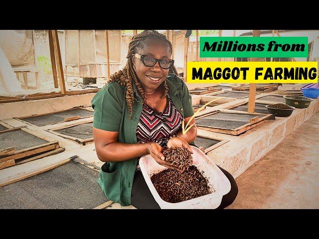 She Started a Maggot Farm in Nigeria