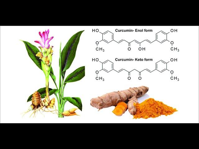 What is curcumin good for? | Premium Curcumin 95% Capsules | Life Aveda