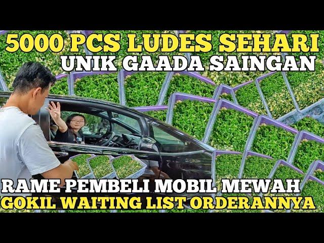 5000 PCS LUDES SEHARI ! DARIPADA NGANGGUR BUKA USAHA GAK ADA SAINGAN RAME PEMBELI MOBIL ! IDE BISNIS