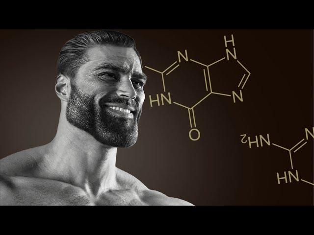 5 Proven Ways to Increase Testosterone