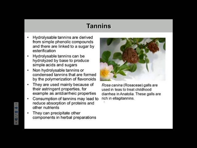 Natural Products Chemistry: Major classes of medically relevant compounds from plants