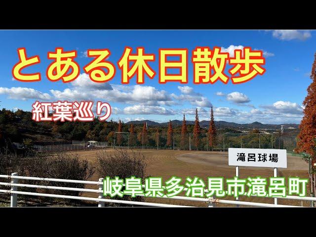 【散歩】とある休日散歩 in岐阜県多治見市滝呂町 紅葉巡り散歩