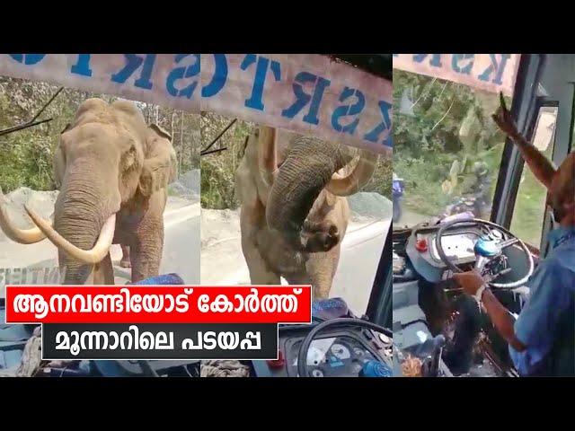 ആനവണ്ടിയോട് കോർത്ത് മൂന്നാറിലെ പടയപ്പ | Elephant Attack against KSRTC Bus on Munnar route