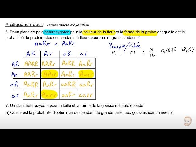 Génétique monohybrides et dihybrides