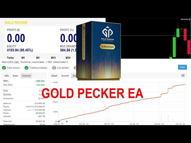 GOLD PECKER EA REVIEW BEST GOLD ROBOT TO MAKE 10-15% WITH LIVE RESULTS LOW DRAWDOWN