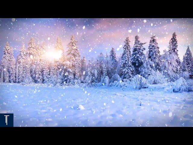 LIVE Winter's BEST Peaceful Classical Music for Study Focus! ️