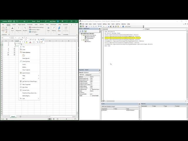 Episode #6 - Excel VBA Special Cells