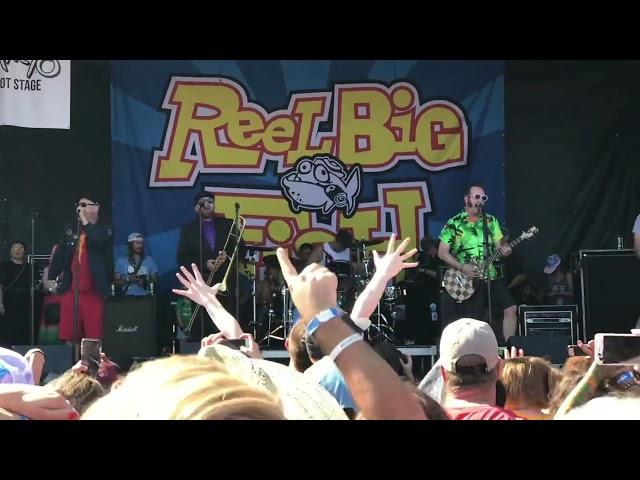 @reelbigfishvideos “Everyone Else is an Asshole”