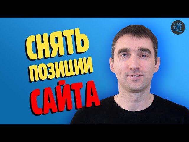 Как проверить позиции сайта онлайн. Проверка позиций по запросам в поисковиках