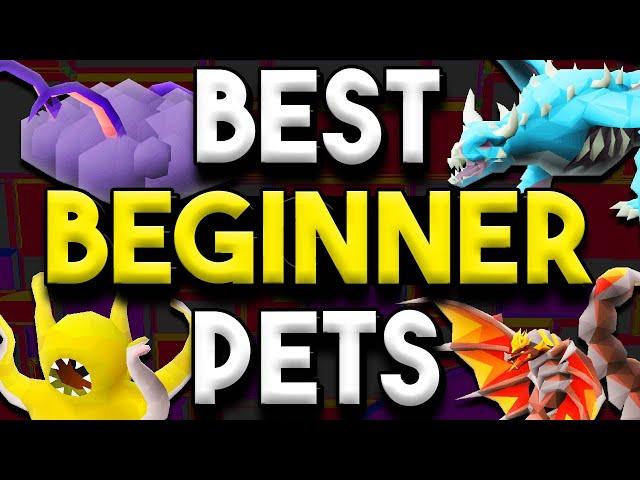 Best Starter Pets To Hunt In Old School Runescape