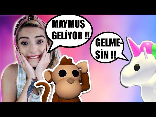 UNİCORN YALAN MI SÖYLÜYOR ?! MAYMUŞ DÖNDÜ MÜ ? Roblox Adopt Me Role Play | Dilek Bozkurt 