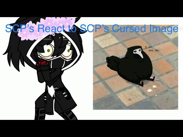 SCP’s React To SCP’s Cursed Image / Thank you for 300 subs (OLD)