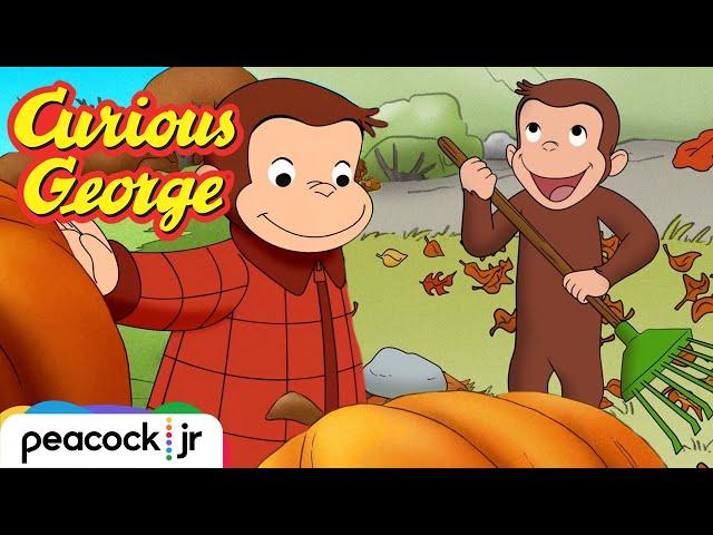 George's Fall Time Fun!  | Marathon for Kids | CURIOUS GEORGE