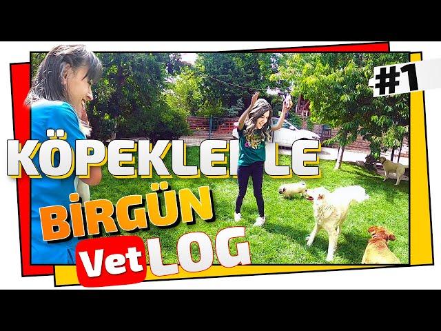 KÖPEKLERLE BİR GÜN GEÇİRMEK.!  (Pet Otel VLOG'u)  ONLARCA KÖPEK !!