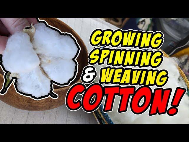 Growing, Spinning and Weaving Cotton