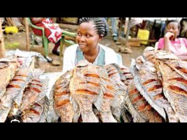 Business opportunities madagascar fish, fishing, fishing trips