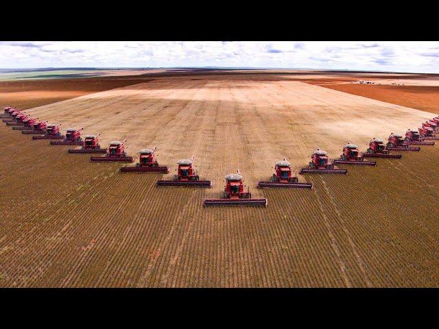How Do American Farmers Produce Billions Of Tons Of Food - American Farming