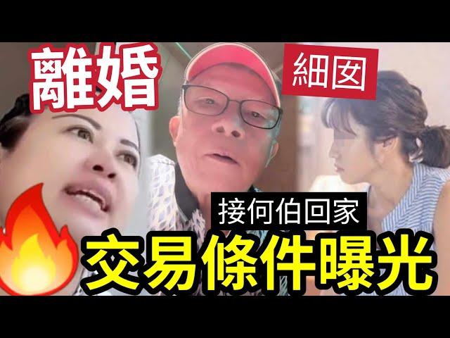 【獨家】何太放棄何伯！細女「接老父回家」交易條件曝光！證實450萬「非何伯擁有」破壞亡妻約定！娶河馬「殺雞取卵」#東張西望 #tvb #離婚