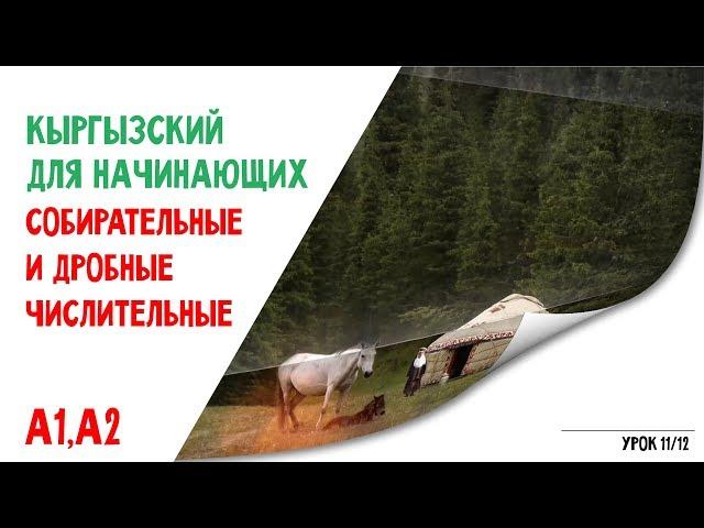 Кыргызский язык для начинающих | Собирательные и дробные числительные