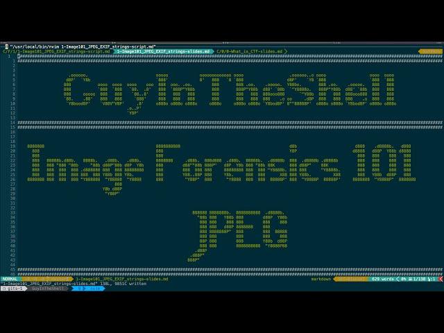 CTF - Image Forensics 101