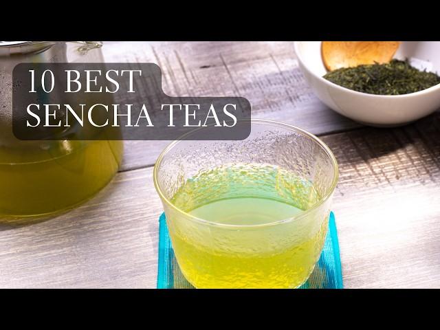 What's the Best Sencha? Unveiling the 10 Best Sencha Teas we Found in Japan