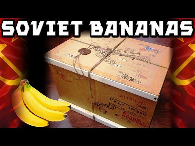 Soviet Storytime. Going Bananas After Bananas In The USSR. My Soviet childhood