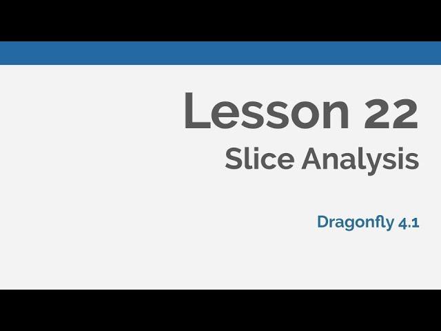 Dragonfly Daily 22 Slice Analysis with Dragonfly (2020)