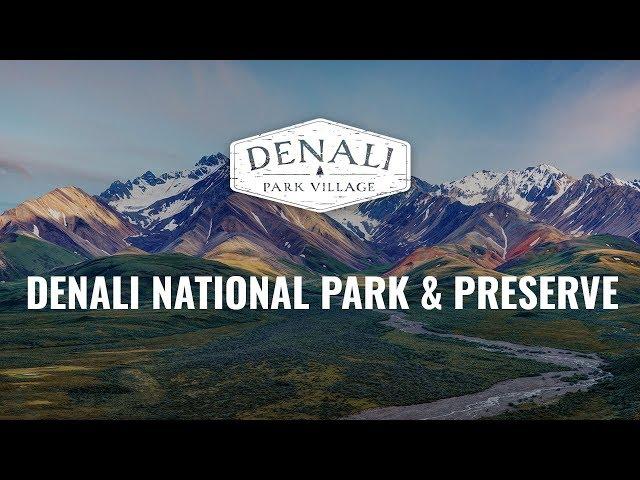 Denali Park Village | Denali National Park & Preserve