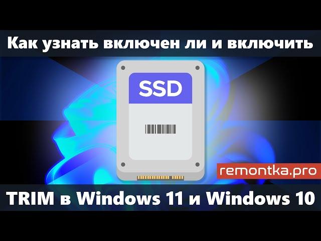 Как включить TRIM для SSD в Windows 11 и Windows 10 и узнать, включена ли функция TRIM