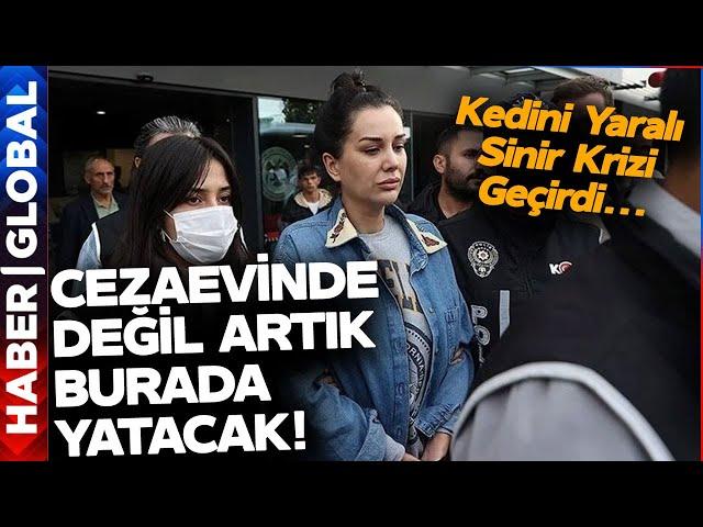 Dilan Polat Cezaevinde Değil Artık Burada Yatacak!