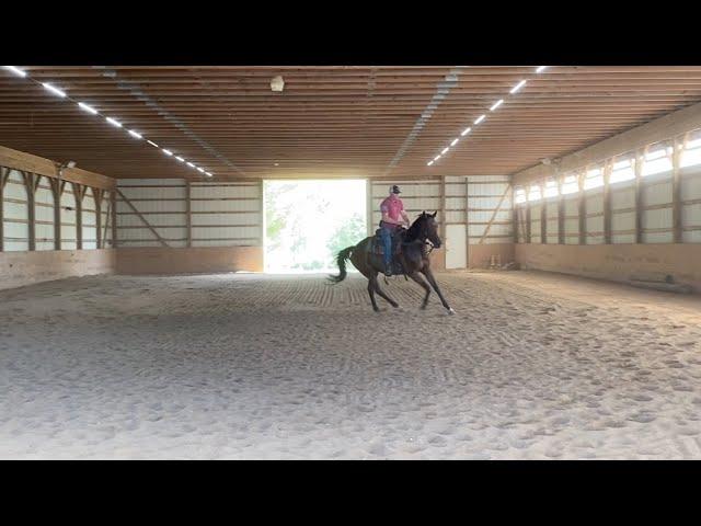 **Slow down** a fast (impulsive) horse. Simple communication method to slow down this OTTB