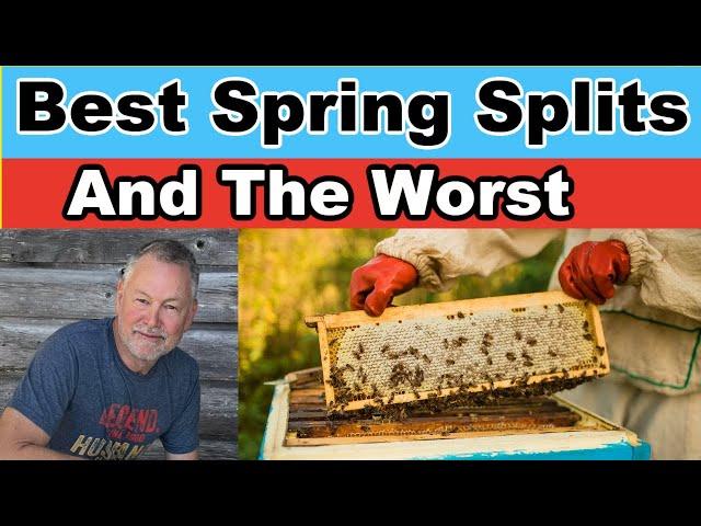 Beekeeping : Various Ways To Make Spring Splits