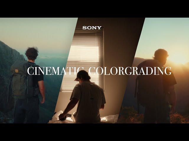 Colorgrading for Cinematic videos | My Process