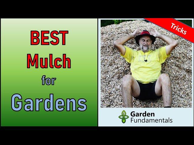 Best Mulch for Ornamental Gardens ️ Learn to mulch correctly and grow better plants