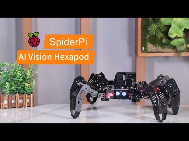 Hiwonder SpiderPi: AI Intelligent Visual Hexapod Robot Powered by Raspberry Pi