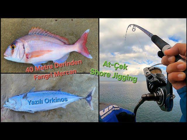 Shore Jigging | Fangri Mercan | Yazılı Orkinos