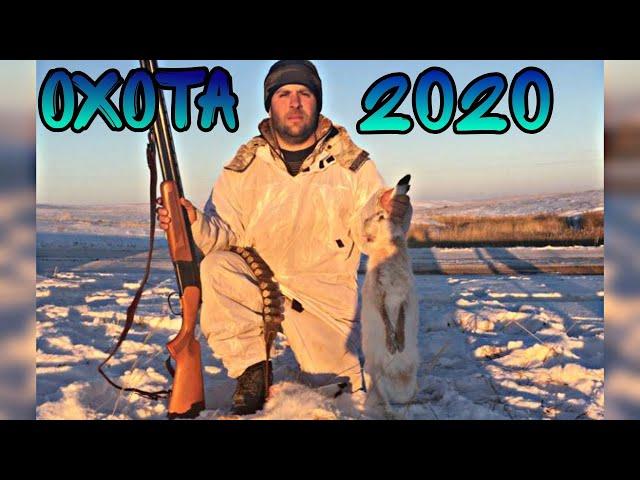 Охота на зайца 2020!Ждали Косулю а пришёл заяц!