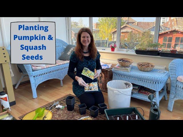 How To Plant Pumpkin And Squash Seed - Allotment UK