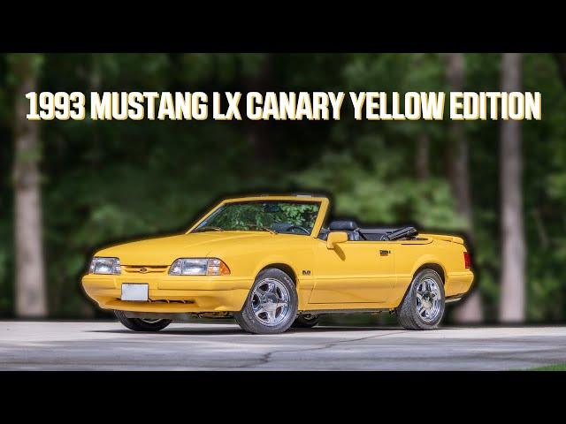 Feature Fox Body - What is the Canary Yellow Edition Mustang?