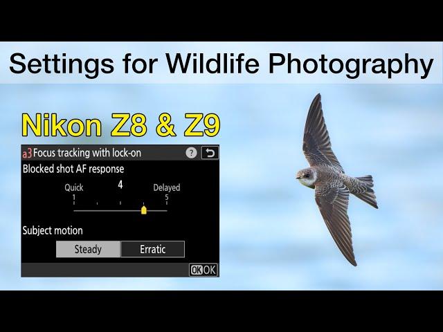 How I set up the Nikon Z8 and Z9 for Bird and Wildlife Photography - Important Settings