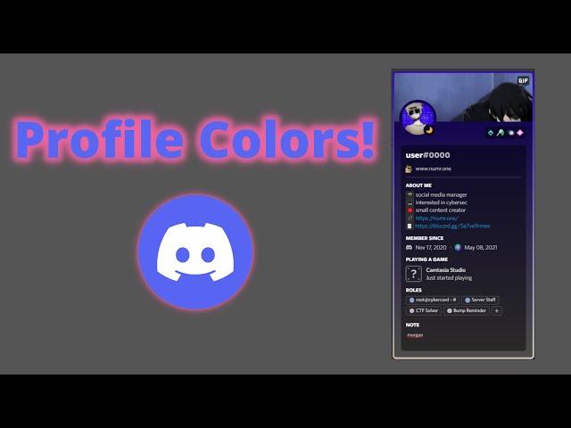 How to Get A Colorful Profile On Discord With Profile Themes