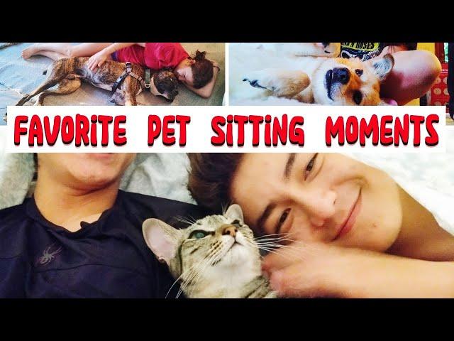 Meet the Pets: Pet Sitting Snapshots from Our Full-Time Family Travels With Reviews