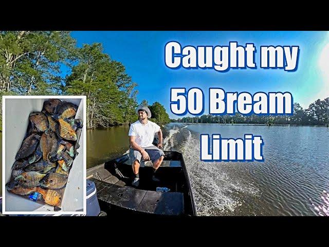 Bream Fishing - Caught My Limit Again at Lake Wallace